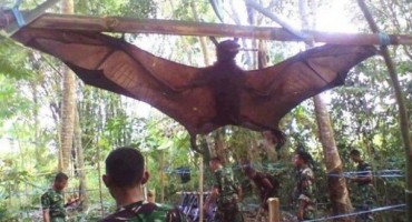 Peruanska vojska uhvatila gigantsku Chupacabru