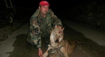 Drinovci : Jure ubio vuka, dok je ovaj jeo njegovog psa