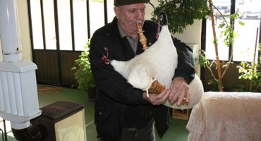 antas mucić, in memoriam