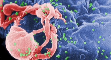 10 ludih činjenica koje sigurno niste znali