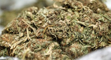 Vinkovci: Makedonac u autu vozio 12 kila marihuane