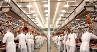 U Njemačkoj 'svinja vrednija od radnika'?