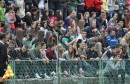 FK Jablanica - FK Igman, navijački neredi