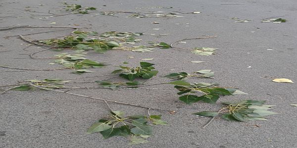 Kod Trebinja nevrijeme oštetilo krovove kuća