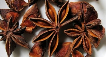 čisti krv, umiruje grčeve, Ljekovito djelovanje, anis, jača živce