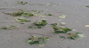 Kod Trebinja nevrijeme oštetilo krovove kuća