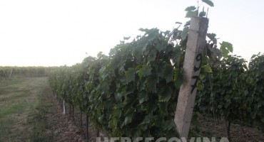 priče iz hercegovine, hodopisi, Dragan Marijanović