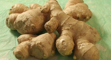 đumbir, RAK, lijek, čaj, đumbir