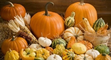  Kraljica jeseni u kojoj možete uživati svaki dan