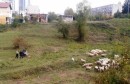 ovca, klanje, Sarajevo