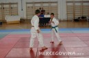 judo borsa