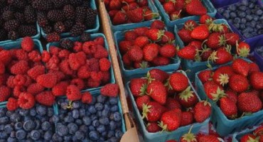 Bobičasto voće čuva zdravlje i liniju!