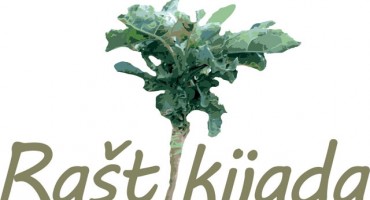 Prijavite svoju ekipu na raštikijadu 2013. 