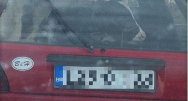 Kroz Sarajevo vozio dva teleta u gepeku Golfa 2