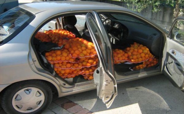 Gabela: Spriječeno krijumčarenje 900 kilograma mandarina