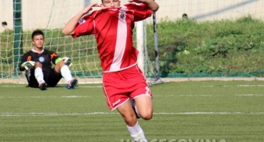 Dragan Krtalić, HŠK Zrinjski