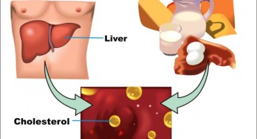 Par činjenica o kolesterolu 