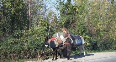Francuzi na magarcima prošli kroz Čapljinu i krenuli u Hrvatsku