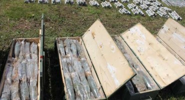 U općini Tešanj pronađeno 500 granata 