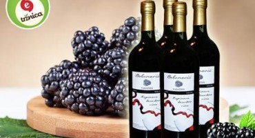 Voćna vina koja morate probati!