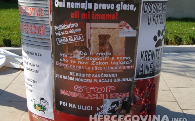 Građani Mostara potpisivali peticiju protiv ubojstva pasa