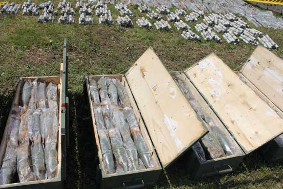 U općini Tešanj pronađeno 500 granata 