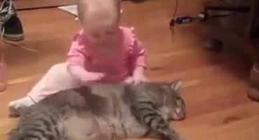 Beba pokušava naljutiti mačku, a ona se ne da