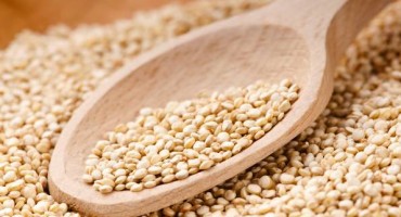 kvinoja, najzdravija namirnica, kvinoja, razlozi