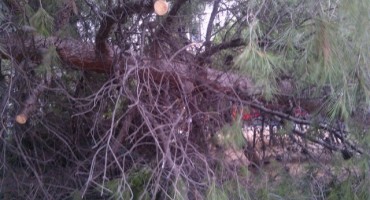 bura, Mostar, Tomislavgrad