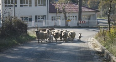 Putopis: Put za Neum preko Svitave