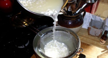 Sirutka je odličan saveznik zdravlja i vitalnosti 