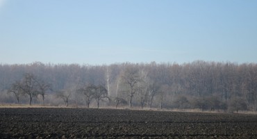 badnji dan, Slavonija, katica kiš, Australija