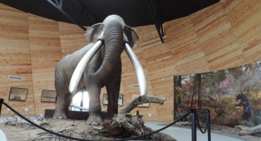 praslon, Tomislavgrad