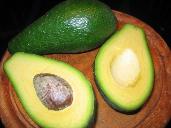 avokado