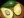  avokado