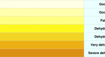 Urin često mijenja boju - provjerite što to znači za vaše zdravlje!