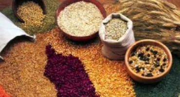 Sto razloga za prehranu bogatu vlaknima