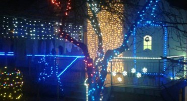 raštani, svijećice