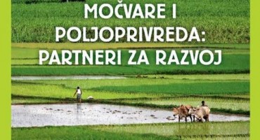 Izložba, u Dinarskom luku, krško polje, Eko Županije