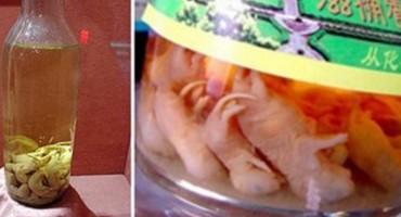 Top 10 najgroznijih specijaliteta svijeta - ne čitati punog želuca...