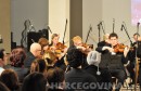 Valentinovski koncert simfonijskog orkestra 