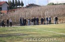dugopolje