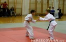 Judo klub Borsa, Judo, Judo borsa
