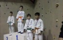 judo borsa u sloveniji
