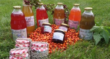 Svaki drugi građanin Hrvatske odlučuje se za kupnju eko-proizvoda