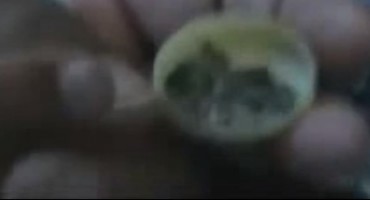 Saadiya Saleh, kamene suze