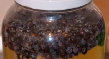 Ljekoviti sok od smreke liječi šećernu bolest 