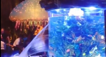 Puknuo akvarij i napravio paniku u restoranu