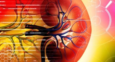 Nefrotski sindrom je skup simptoma uzrokovanih oštećenjima bubrega