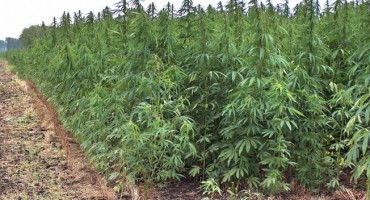 Hrvatska se odrekla milijunskih ulaganja, proizvodnja se seli u Srbiju?